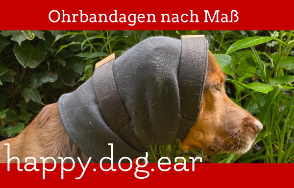 Hund mit happy dog ear Ohrbandage