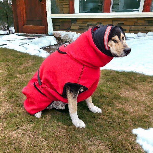 Ohrenschutz Kälteschutz für Hunde nach Maß