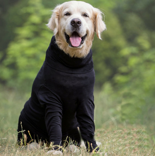 Hundebody mit langen Beinen Wundschutz Overall für Hunde